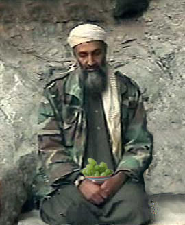 359-bin-laden-grapes